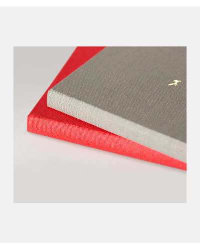 A Notebook For Bad Ideas - Red - Plain